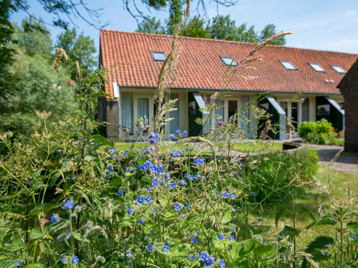 Vakantiehuis in Linschoten (Utrecht) voor 12 personen met 6 slaapkamers, foto 3