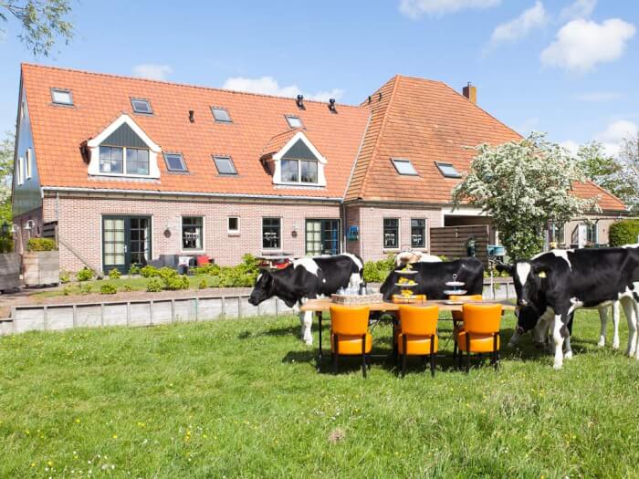Vakantiehuis in Oudesluis (Noord-Holland) voor 30 personen met 11 slaapkamers, foto 1