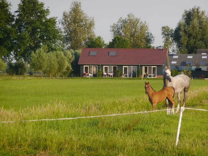 Vakantiehuis in Goudriaan (Zuid-Holland) voor 16 personen met 5 slaapkamers, foto 2