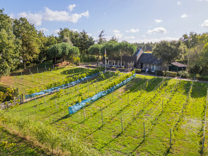 Vakantiehuis in Maasbree (Limburg) voor 15 personen met 8 slaapkamers, foto 3