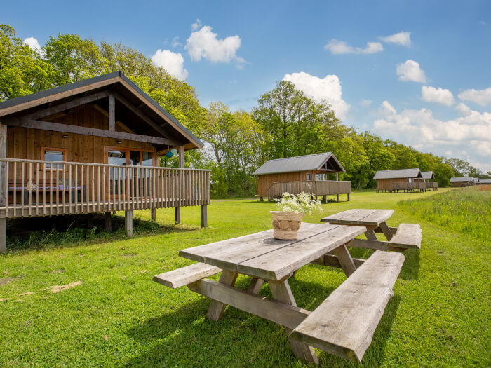 Vakantiehuis in Ruinerwold (Drenthe) voor 16 personen met 8 slaapkamers, foto 1