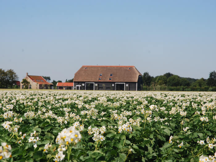 Vakantiehuis in Oostkapelle (Zeeland) voor 30 personen met 14 slaapkamers, foto 1